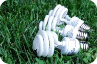 cfls grass rounded